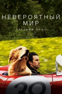 Невероятный мир глазами Энцо / The Art of Racing in the Rain (2019) смотреть онлайн бесплатно в отличном качестве