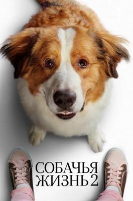 Собачья жизнь 2 / A Dog's Journey (2019) смотреть онлайн бесплатно в отличном качестве