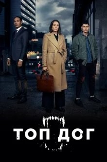 Топ дог / Top Dog (2020) смотреть онлайн бесплатно в отличном качестве