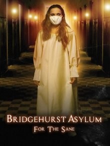 Бриджхёрст: Лечебница для вменяемых / Bridgehurst Asylum for the Sane (2022) смотреть онлайн бесплатно в отличном качестве