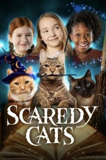 Пугливые кошки (Scaredy Cats) 2021 года смотреть онлайн бесплатно в отличном качестве. Постер