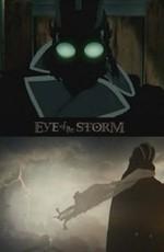 Глаз бури / Eye of the Storm (2011) смотреть онлайн бесплатно в отличном качестве