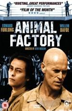 Зверофабрика / Animal Factory (2000) смотреть онлайн бесплатно в отличном качестве