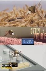 Проба на укус / Stich probe (2008) смотреть онлайн бесплатно в отличном качестве