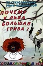 Почему у льва большая грива? /  (None) смотреть онлайн бесплатно в отличном качестве