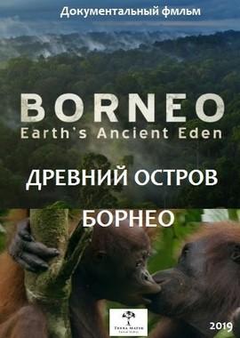 Древний остров Борнео (Borneo – Earth’s Ancient Eden) 2019 года смотреть онлайн бесплатно в отличном качестве. Постер