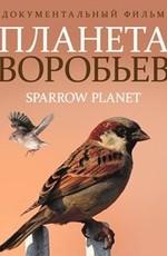 Планета воробьев (Sparrow Planet)  года смотреть онлайн бесплатно в отличном качестве. Постер