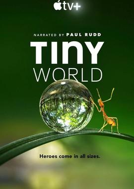 Крошечный мир / Tiny World (None) смотреть онлайн бесплатно в отличном качестве