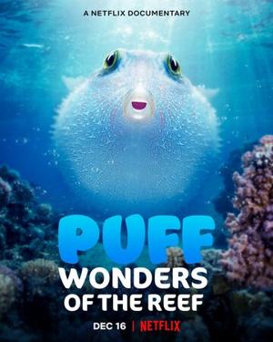 Чудеса кораллового рифа / Puff: Wonders of the Reef (2021) смотреть онлайн бесплатно в отличном качестве