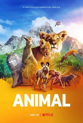 Удивительные животные / Animal (2021) смотреть онлайн бесплатно в отличном качестве