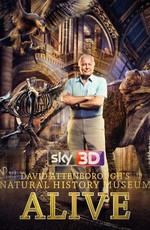 Лондонский Музей естествознания вживую с Дэвидом Аттенборо / David Attenborough's Natural History Museum Alive () смотреть онлайн бесплатно в отличном качестве