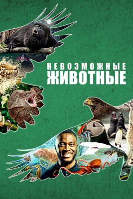 Невозможные животные / Impossible Animals: with Patrick Aryee (2021) смотреть онлайн бесплатно в отличном качестве