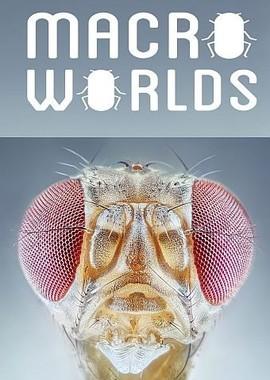 Макромиры / Macro Worlds (2017) смотреть онлайн бесплатно в отличном качестве