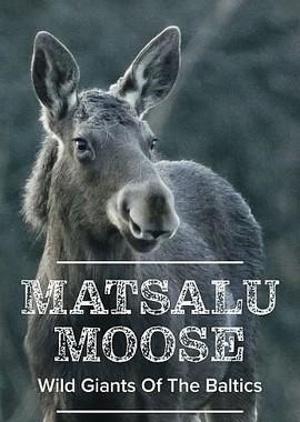 Матсалукские лоси. Гиганты Прибалтики / Matsalu Moose - Wild Giants of the Baltics (2019) смотреть онлайн бесплатно в отличном качестве