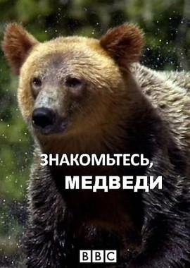 Знакомьтесь: медведи / Meet the Bears (2019) смотреть онлайн бесплатно в отличном качестве