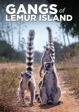 Банды острова лемуров / Gangs of Lemur Island (2019) смотреть онлайн бесплатно в отличном качестве