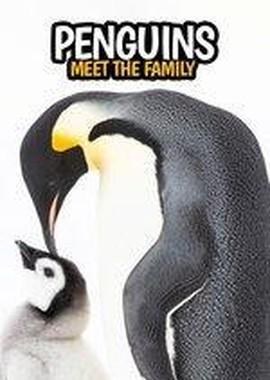 Знакомьтесь: пингвины / Penguins: Meet the Family (None) смотреть онлайн бесплатно в отличном качестве