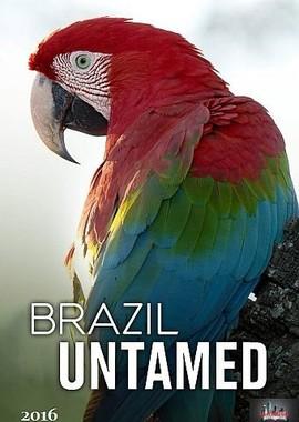 Дикая Бразилия (Brazil Untamed) 2016 года смотреть онлайн бесплатно в отличном качестве. Постер