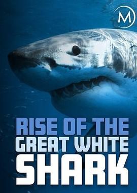 История белой акулы / Rise of the Great White Shark (2017) смотреть онлайн бесплатно в отличном качестве