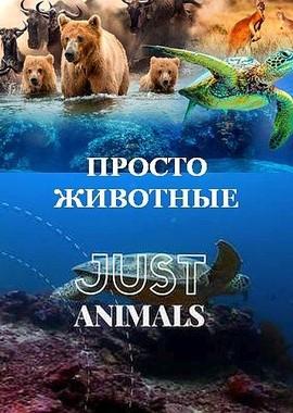 Просто животные / Just Animals (2018) смотреть онлайн бесплатно в отличном качестве