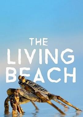 Живой пляж / The Living Beach (2016) смотреть онлайн бесплатно в отличном качестве