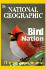 Птичья популяция