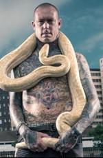 Змеи в городе Змеи в городе