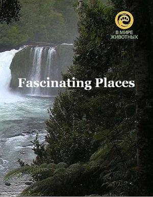 Захватывающие места / Fascinating Places () смотреть онлайн бесплатно в отличном качестве