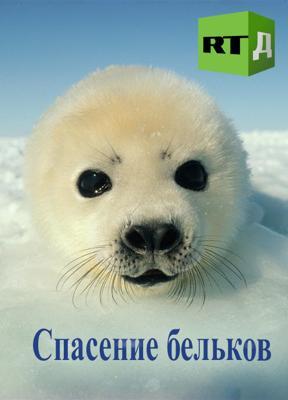Спасение бельков /  () смотреть онлайн бесплатно в отличном качестве