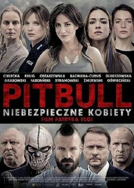 Питбуль. Опасные женщины / Pitbull. Niebezpieczne kobiety (2016) смотреть онлайн бесплатно в отличном качестве