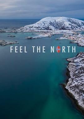 Почувствуйте север / Feel The North () смотреть онлайн бесплатно в отличном качестве