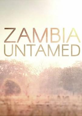 Неукротимая Замбия / Zambia Untamed (2017) смотреть онлайн бесплатно в отличном качестве