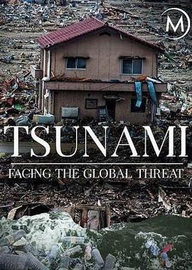 Цунами. Перед лицом глобальной угрозы / Tsunamis: Facing a Global Threat (2019) смотреть онлайн бесплатно в отличном качестве