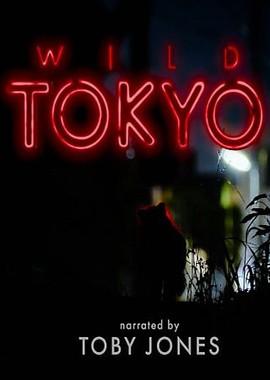 Дикий Токио (Wild Tokyo)  года смотреть онлайн бесплатно в отличном качестве. Постер