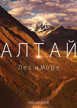 Алтай. Лес и море