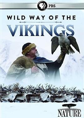 Дикий путь викингов / Wild Way of The Vikings (2018) смотреть онлайн бесплатно в отличном качестве