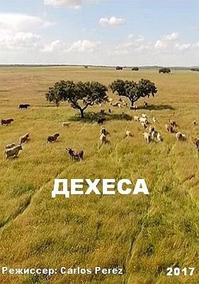 Дехеса (Dehesa) 2017 года смотреть онлайн бесплатно в отличном качестве. Постер