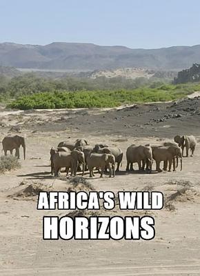 Дикие просторы Африки (Africa's Wild Horizons)  года смотреть онлайн бесплатно в отличном качестве. Постер