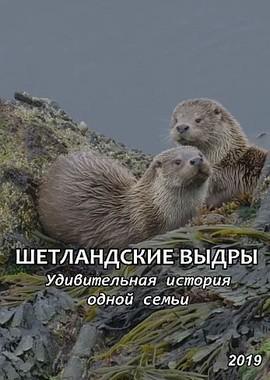 Шетландские выдры. Удивительная история одной семьи / Shetland's Otters. The Tale of a Draatsi Family (2019) смотреть онлайн бесплатно в отличном качестве