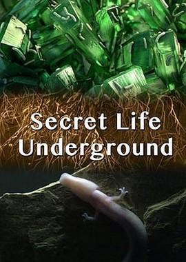 Тайны подземного мира / Secret Life Underground () смотреть онлайн бесплатно в отличном качестве