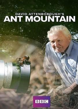 Муравьиная гора с Дэвидом Аттенборо / David Attenborough's Ant Mountain (2017) смотреть онлайн бесплатно в отличном качестве