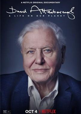 Дэвид Аттенборо: Жизнь на нашей планете / David Attenborough: A Life on Our Planet (None) смотреть онлайн бесплатно в отличном качестве