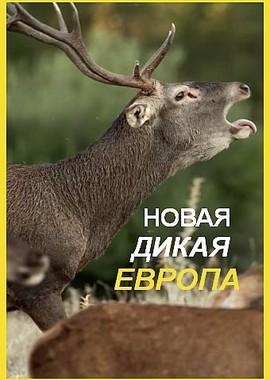 Новая дикая природа Европы (Europe's New Wild)  года смотреть онлайн бесплатно в отличном качестве. Постер