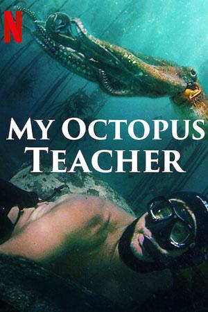 Мой учитель - осьминог / My Octopus Teacher (None) смотреть онлайн бесплатно в отличном качестве