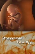 Природа вещей: Курс на ожирение? / The Nature of Things: Programmed to Be Fat? () смотреть онлайн бесплатно в отличном качестве