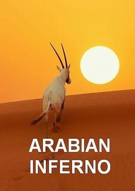 Знойная Аравия / Arabian Inferno (2017) смотреть онлайн бесплатно в отличном качестве