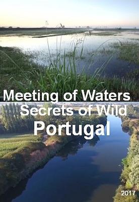 Слияние рек. Секреты дикой природы Португалии (A Meeting of Waters - Secrets of Wild Portugal) 2017 года смотреть онлайн бесплатно в отличном качестве. Постер