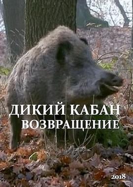 Дикий кабан. Возвращение (Wild Boars. The Comeback) 2018 года смотреть онлайн бесплатно в отличном качестве. Постер