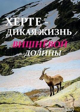 Херте: дикая жизнь Вишневой долины / Jerte, Wildlife in the Cherry Valley (2017) смотреть онлайн бесплатно в отличном качестве