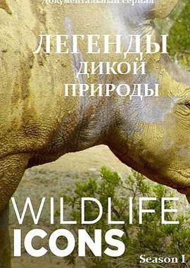 Легенды / Wildlife Icons (2016) смотреть онлайн бесплатно в отличном качестве